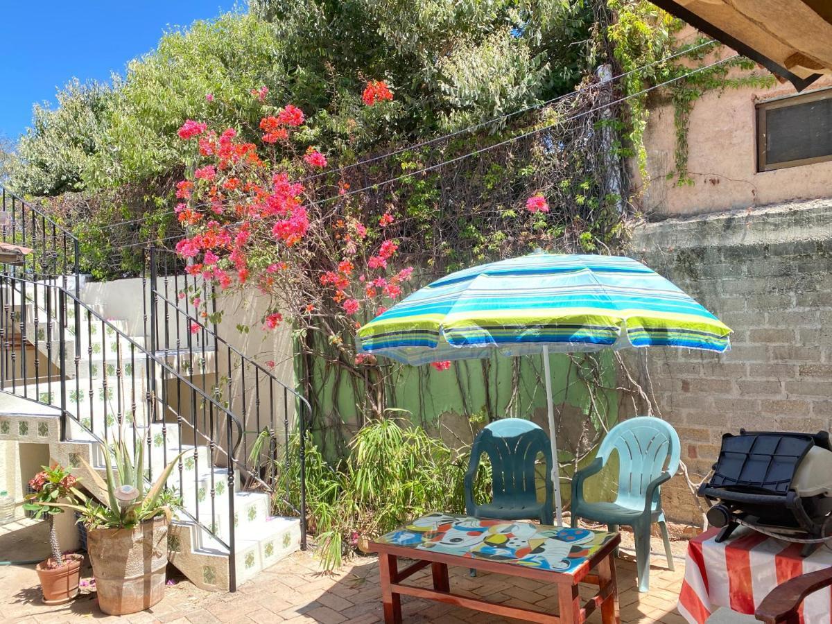 شقة Casita Del Artista سان باتريسيو ميلاكي المظهر الخارجي الصورة