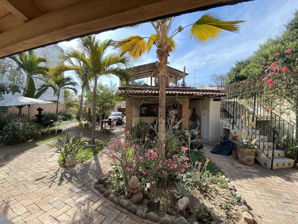 شقة Casita Del Artista سان باتريسيو ميلاكي المظهر الخارجي الصورة